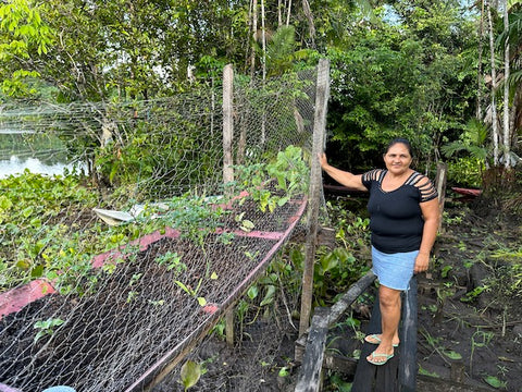 harvester garden