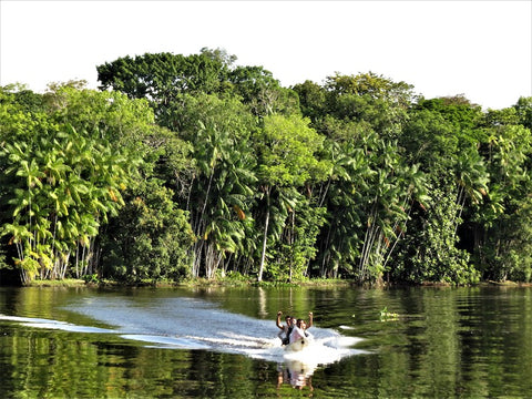 amazon rainforest