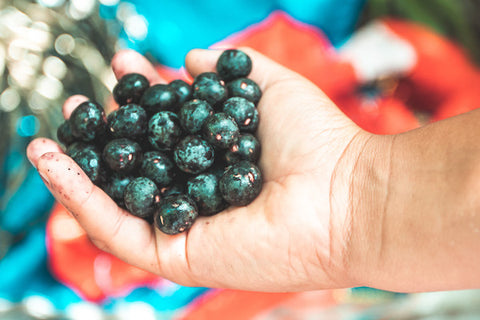 acai berries in hand