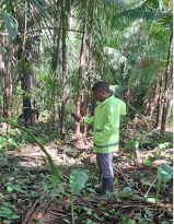 gabriel in forest