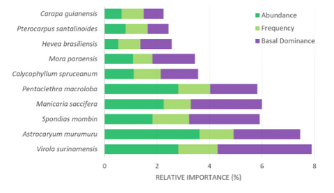 amazon tree species